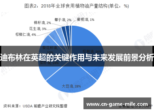 迪布林在英超的关键作用与未来发展前景分析