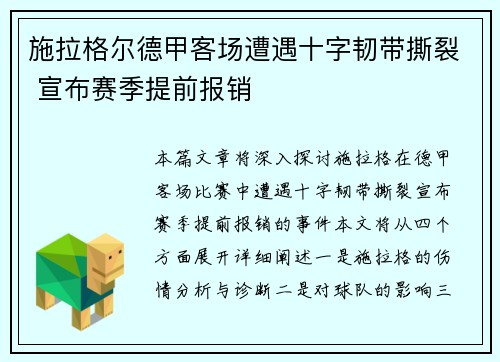 施拉格尔德甲客场遭遇十字韧带撕裂 宣布赛季提前报销